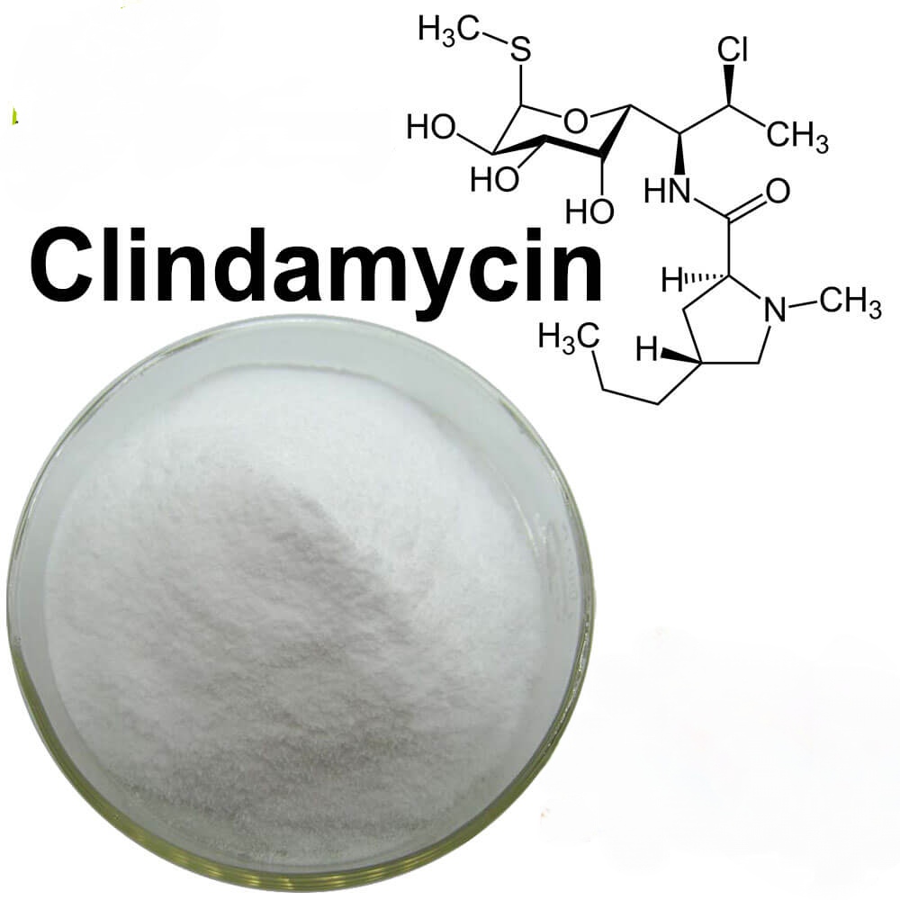  Clindamycin Phosphate